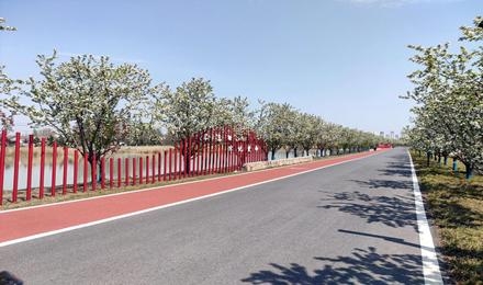 淮安(an)·裏(li)運河(he)景(jing)區(qū)(qu)慢(man)行(xing)係統(tǒng)(tong)工(gong)程(cheng)