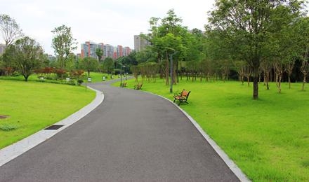 長沙·斑(ban)馬湖公(gong)園南(nan)湖(hu)綠化提質(zhì)改(gai)造(zao)工程