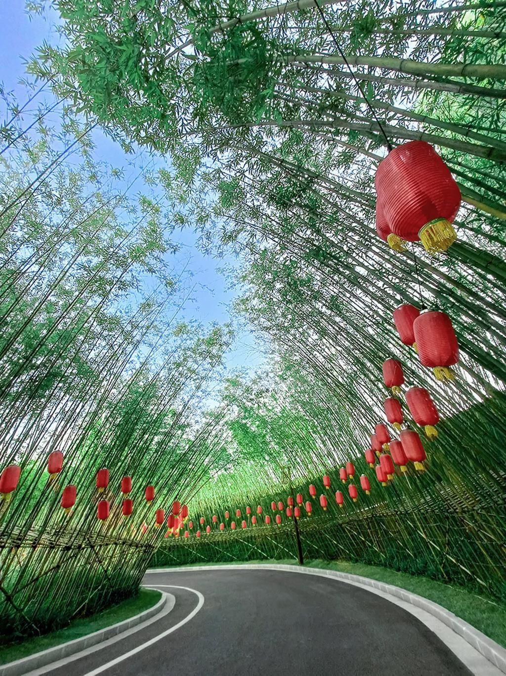 湖(hu)南(nan)省(sheng)一建園林建(jian)設(shè)(she)有限(xian)公(gong)司 湖(hu)南(nan)省(sheng)一建(jian)園林建(jian)設(shè)(she)有限(xian)公(gong)司